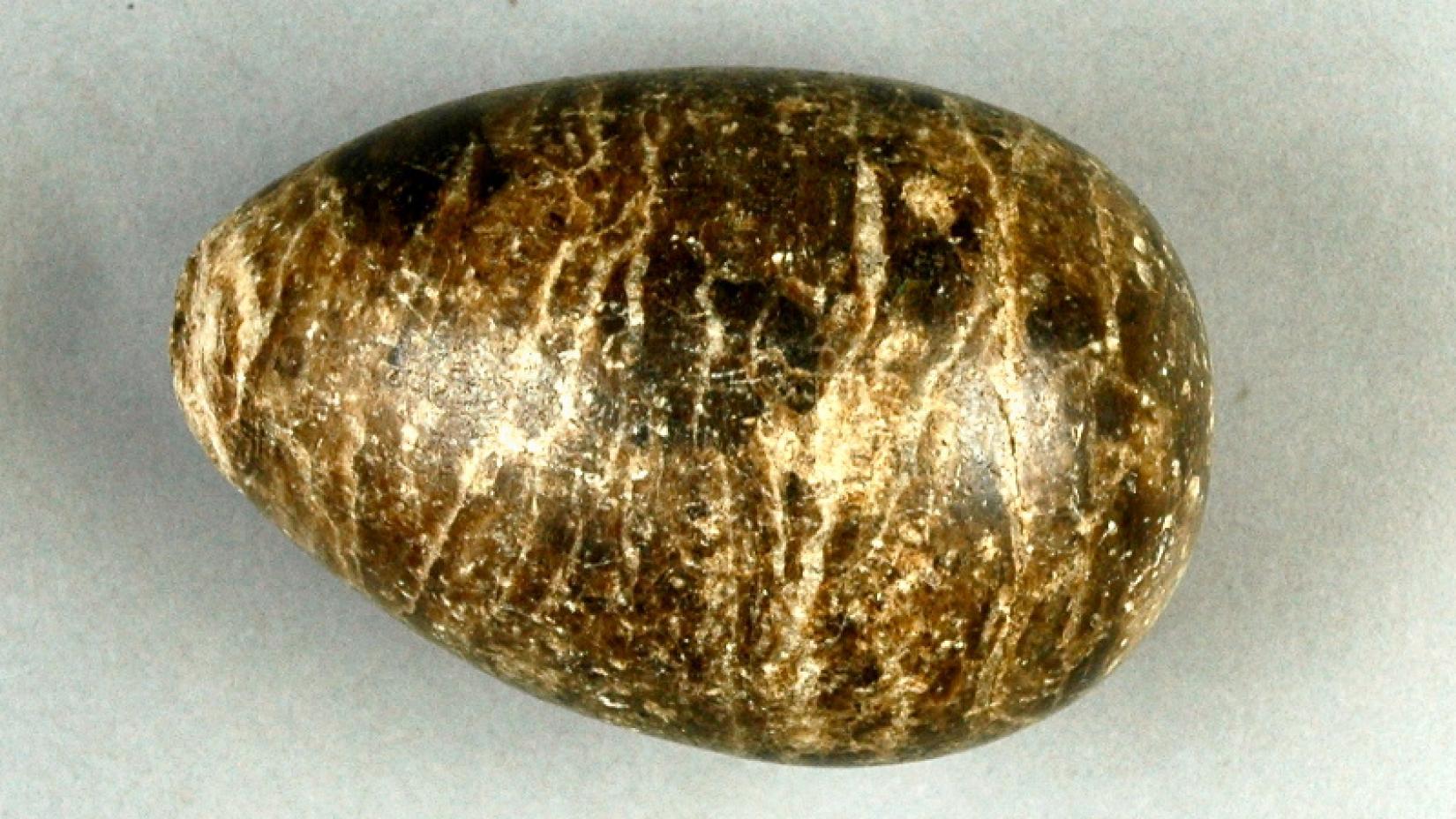 Яйцо из гипса, которое в своих экскурсиях часто использовал педагог, геолог и сотрудник музея Янис Гресте.