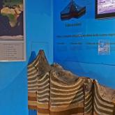 Exhibition "Dynamic Geology and Rocks"