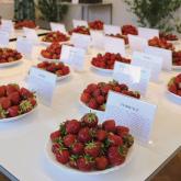 Exhibition "Strawberries 2016"