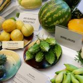 Выставка «Латвийские пряные растения и редко выращиваемые овощи 2018»