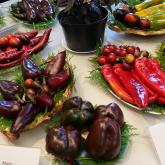 Exhibition "Herbs and rare garden vegetables 2018”