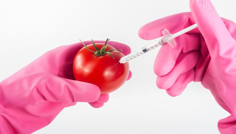 Как узнать, является ли продукт генетически модифицированным (ГМО)?