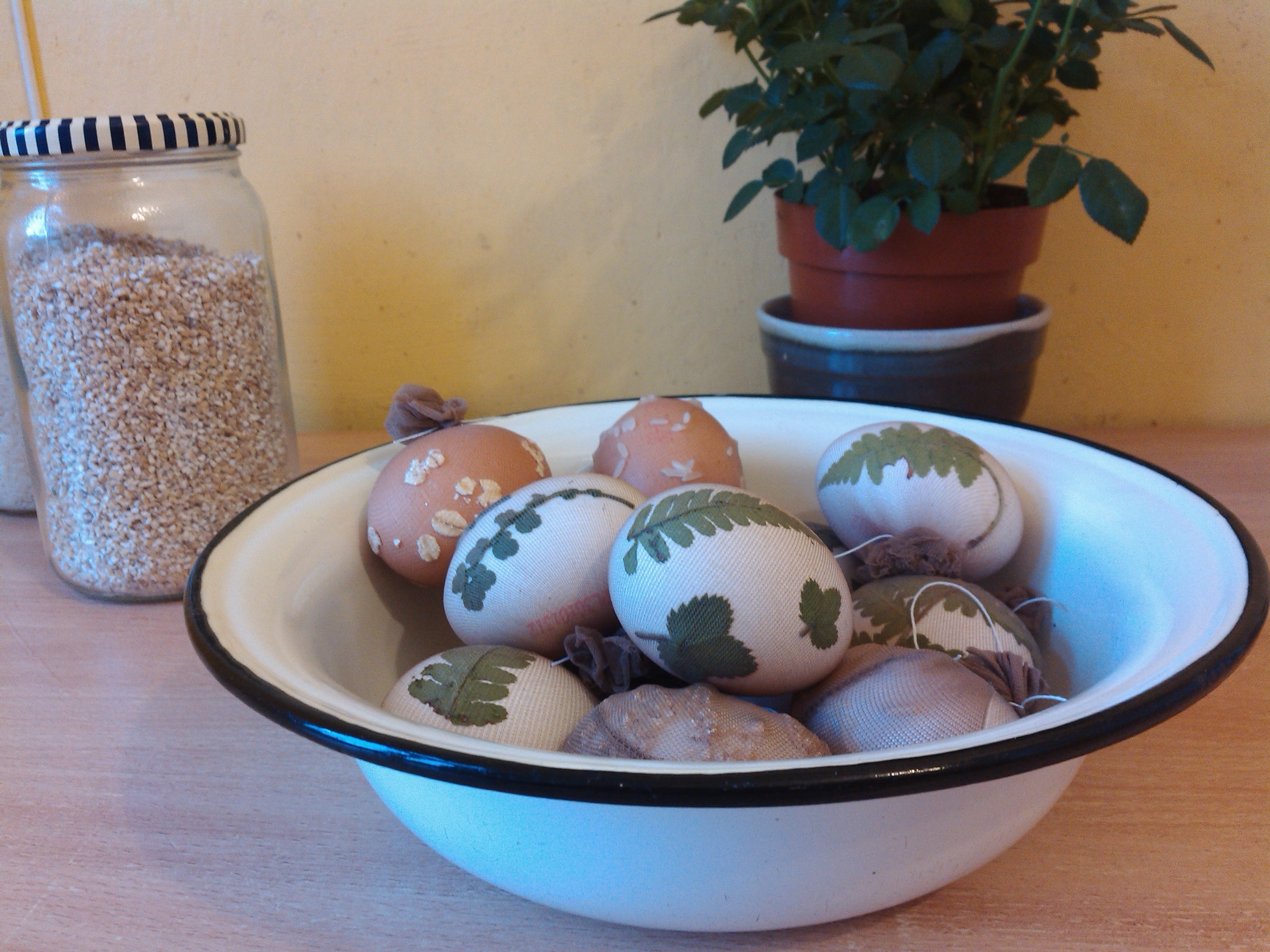 Krāsošanai sagatavotas olas izmantojot zeķubikses