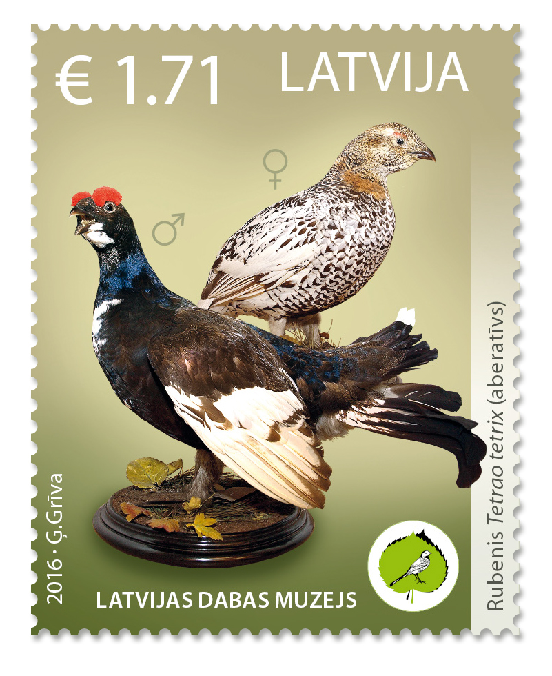 Pastmarka 1.71 € vērtībā ar putna (rubenis Tetrao tetrix) foto
