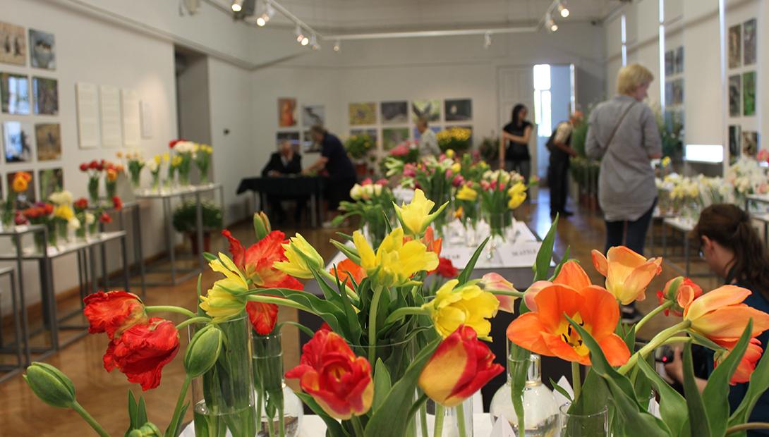 Exhibition "Spring flowers 2016"