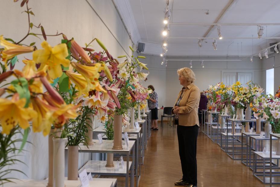 Выставка «Благородные лилии 2019»