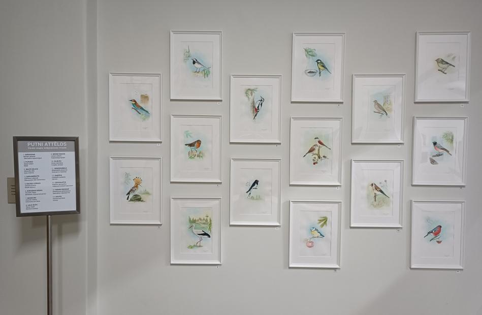 Izstāde „Putni pie mājām”. Ukrainas ornitologa Mikolas Vasilenko akvareļi