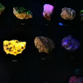 Ekspozīcija „Mineraloģija”. Luminiscence.