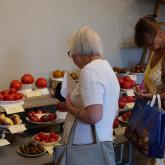 Выставка «Парад томатов 2020»