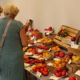 Exhibition "Tomatoes 2022"