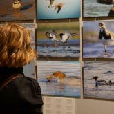 Fotokonkursa „Mans putns 2024” laureātu apbalvošana un izstādes atklāšana