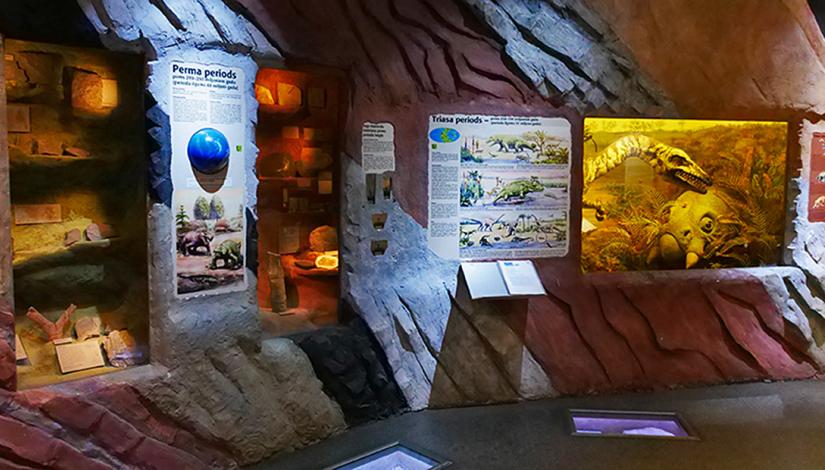 Обзорная экскурсия по экспозициям Динамической геологии и Палеонтологии 