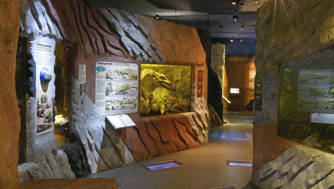 Exhibition "Evolution of the Earth and the Biosphere"